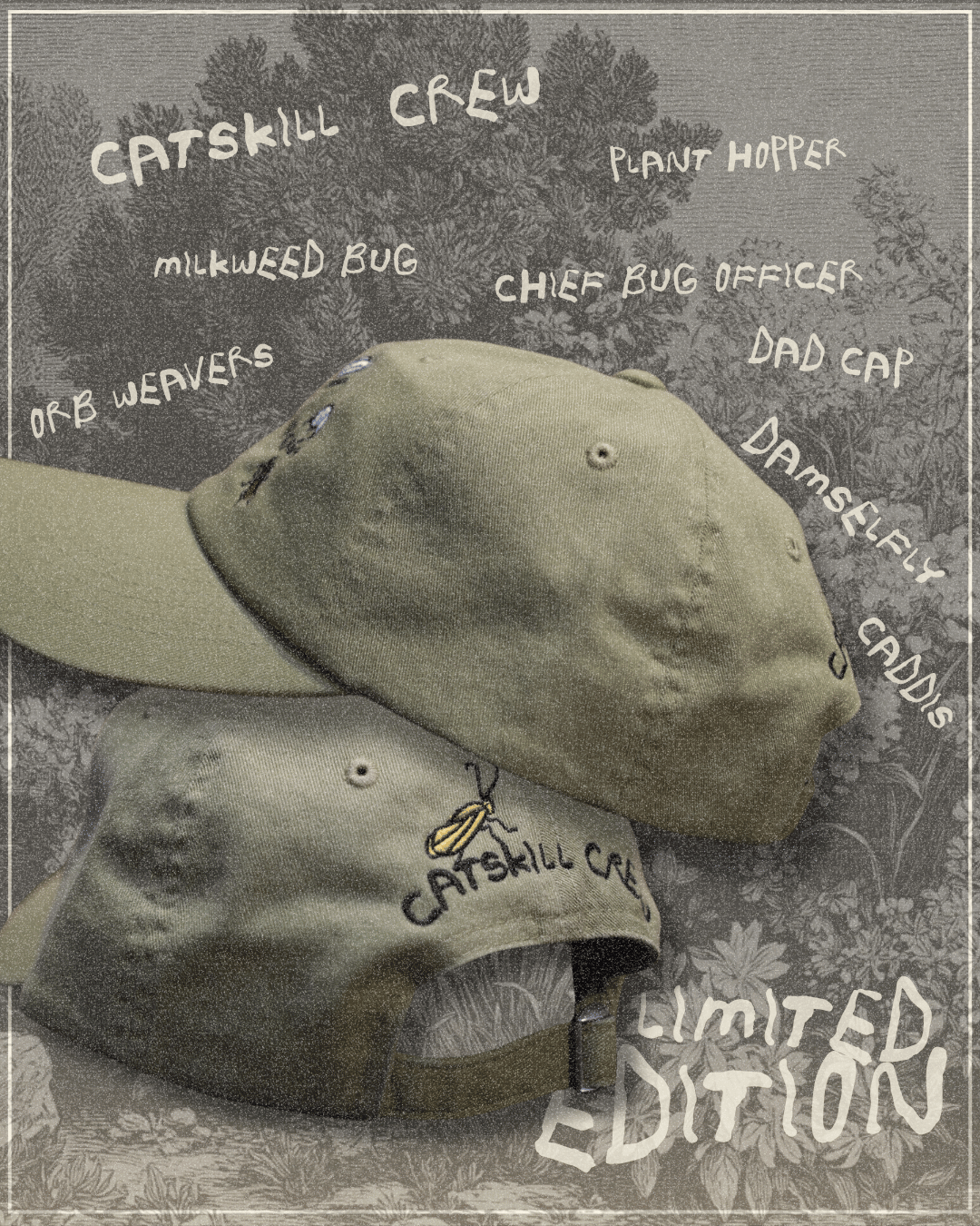 BIG BUG ENERGY DAD CAP