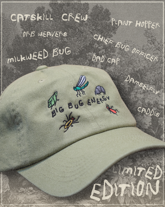 BIG BUG ENERGY DAD CAP